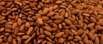almonds, kernels, nuts